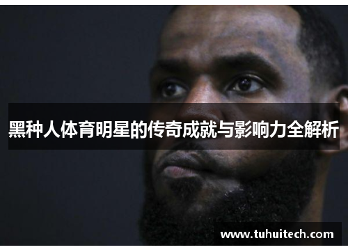 黑种人体育明星的传奇成就与影响力全解析